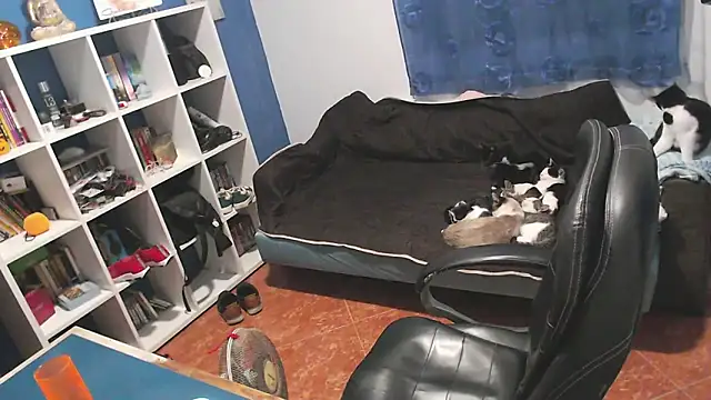 ravingr4d4 online show from November 1, 2025, 10:01 pm