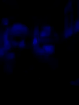 Snapshot of AlphaAlluring69 chatting on May 11, 2026, 5:46 am AlphaAlluring69 online show from May 11, 2026, 5:46 am