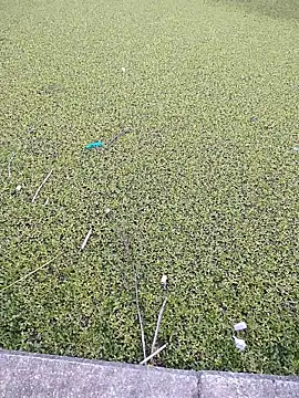 Eduardoxxx51 online show from December 3, 2025, 10:19 pm