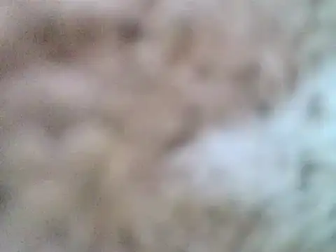 Snapshot of DaddyQuimHot chatting on February 9, 2025, 12:08 pm DaddyQuimHot online show from February 9, 2025, 12:08 pm