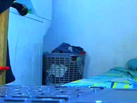 Ian zaenzz online show from January 22, 2025, 8:06 pm