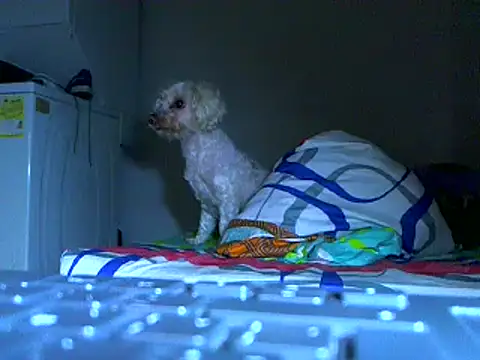 Ian zaenzz online show from November 27, 2025, 5:09 am