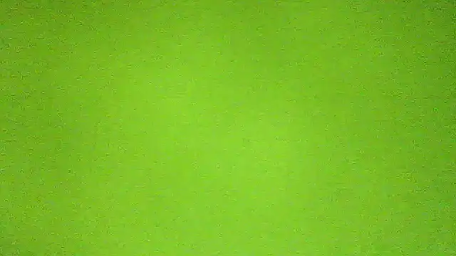 AbbyX online show from November 29, 2025, 10:29 am