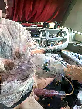 richa22cm online show from November 12, 2025, 2:17 pm