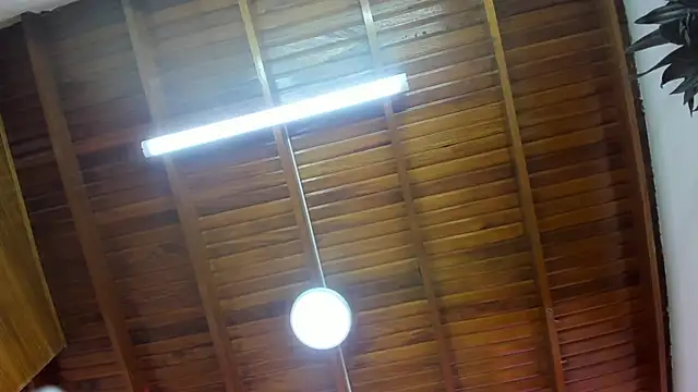 Levy Steve online show from November 26, 2025, 6:36 am