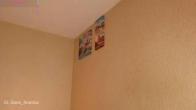 DanArant online show from November 28, 2025, 10:01 pm