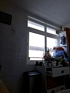 Javier bear online show from November 22, 2025, 10:14 am