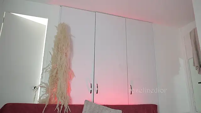 roselinedior online show from November 10, 2025, 4:17 pm