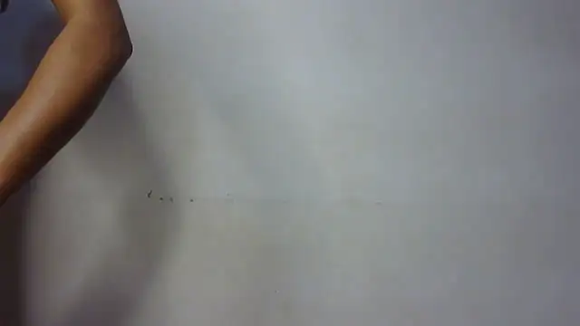 seema raani online show from January 24, 2025, 3:34 pm