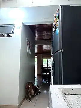 sebasxx97 online show from February 11, 2026, 11:59 am