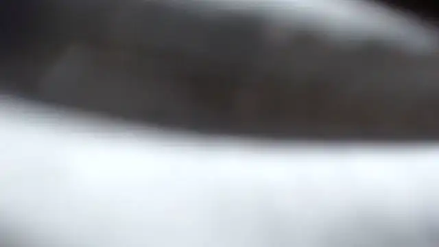 BERNINIBLUSHX89 online show from March 10, 2025, 4:03 pm