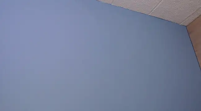 Snapshot of Lilly_macflyy chatting on December 18, 2024, 8:03 pm Lilly macflyy online show from December 18, 2024, 8:03 pm