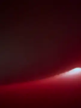 SeiGeilUndFrei online show from February 14, 2026, 8:55 am