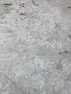 Snapshot of Beijing2000 chatting on October 11, 2025, 2:33 am Beijing2000 online show from October 11, 2025, 2:33 am