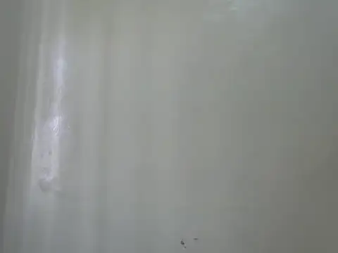 Rasta tattooed online show from February 6, 2026, 10:40 am