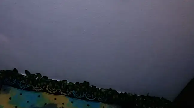 chanel 1041 online show from December 26, 2024, 8:00 pm