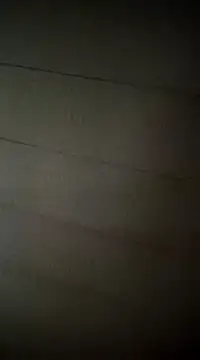 poussychats online show from February 16, 2025, 5:04 am