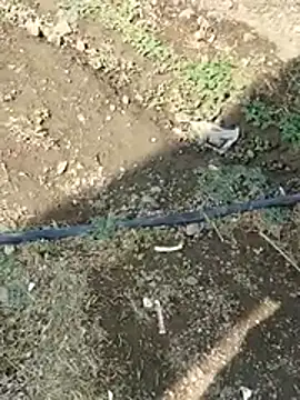 DADDY69SS online show from February 8, 2026, 8:51 am