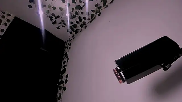 Snapshot of Young_laroi chatting on February 19, 2025, 8:12 am Young laroi online show from February 19, 2025, 8:12 am