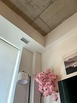 Your Paris online show from November 13, 2025, 7:35 pm