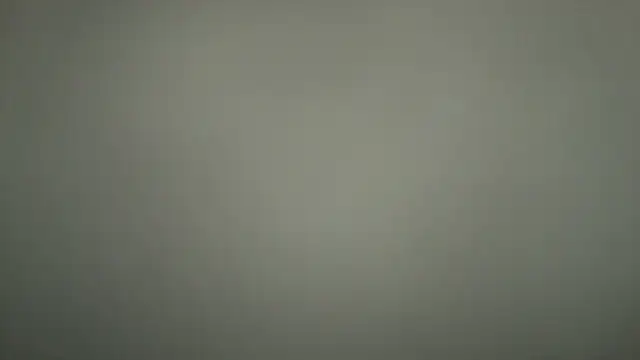 Loona-Lexxington online show from December 4, 2025, 9:01 pm