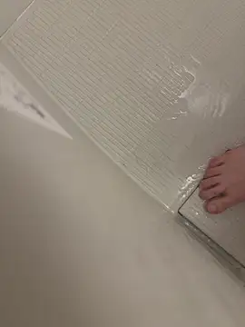 shiro 3 online show from February 14, 2026, 12:46 pm