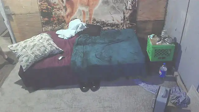 Smurfschmidt online show from January 7, 2025, 3:46 am