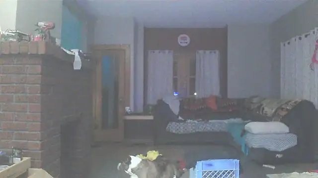 Smurfschmidt online show from February 22, 2026, 2:24 am