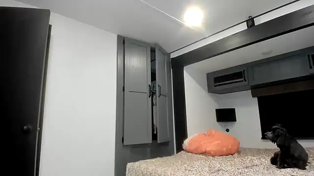 Persiasparadise online show from February 16, 2026, 1:46 am