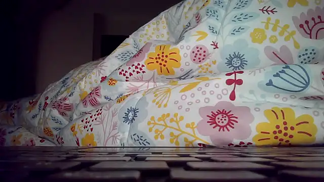 deltaforce1987 online show from December 20, 2024, 3:36 am