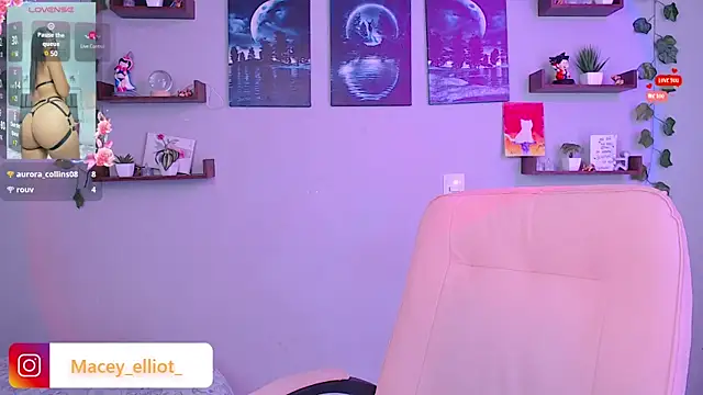 macey elliot  online show from February 6, 2025, 3:41 pm