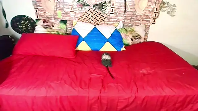 Indian Blaze00 online show from October 17, 2025, 11:35 am