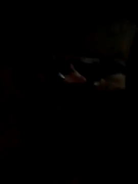 Hedygostozin online show from March 14, 2026, 10:32 am