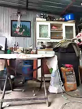 Sarpe84 online show from January 24, 2025, 9:17 am