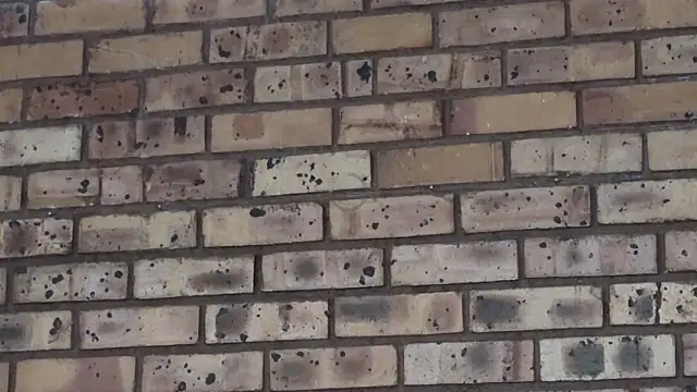 Snapshot of Astoria_Moon chatting on December 21, 2024, 2:15 pm Astoria Moon online show from December 21, 2024, 2:15 pm