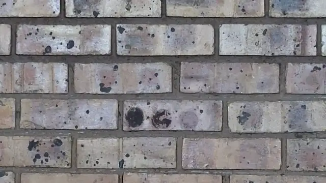 Snapshot of Astoria_Moon chatting on February 10, 2025, 1:01 pm Astoria Moon online show from February 10, 2025, 1:01 pm