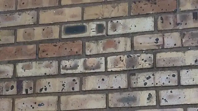 Snapshot of Astoria_Moon chatting on February 24, 2025, 7:09 pm Astoria Moon online show from February 24, 2025, 7:09 pm