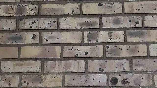 Snapshot of Astoria_Moon chatting on March 22, 2025, 7:09 pm Astoria Moon online show from March 22, 2025, 7:09 pm