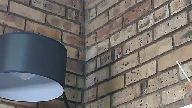 Astoria Moon online show from January 14, 2026, 12:22 pm