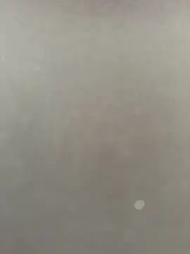 Syka0001 online show from February 14, 2026, 10:23 am