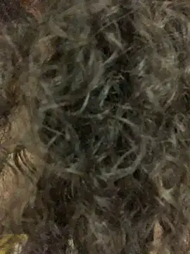 Antoniart  online show from February 9, 2025, 6:54 am