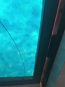 kalakim online show from October 13, 2025, 10:15 am