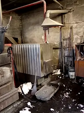 MityaXLoves online show from February 8, 2026, 6:17 am