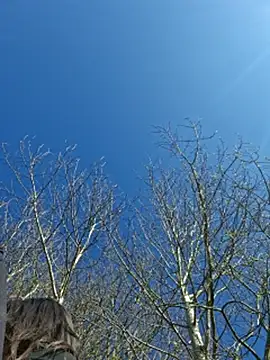 LydiaMaus96 online show from April 21, 2026, 1:39 pm