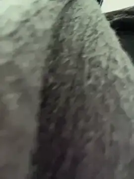 RinaCat online show from January 6, 2025, 5:30 am