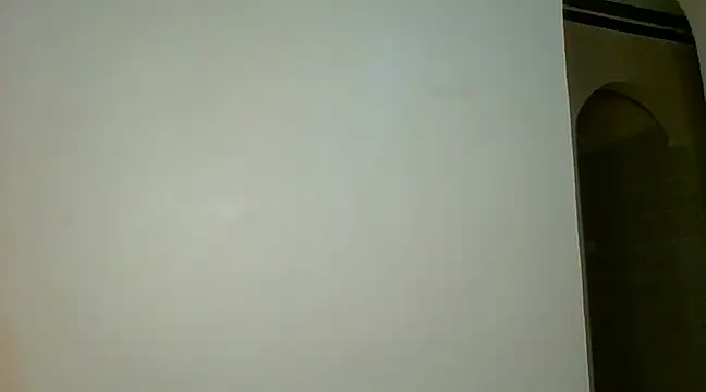 Snapshot of bigassbabe_001 chatting on December 16, 2024, 2:47 am bigassbabe 001 online show from December 16, 2024, 2:47 am