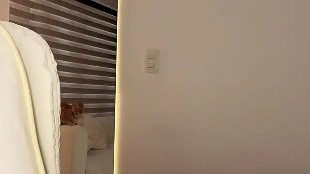 AtheneaRossi online show from October 28, 2025, 12:41 pm