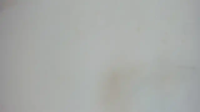 Snapshot of nami_sam01 chatting on January 31, 2025, 11:56 am nami sam01 online show from January 31, 2025, 11:56 am