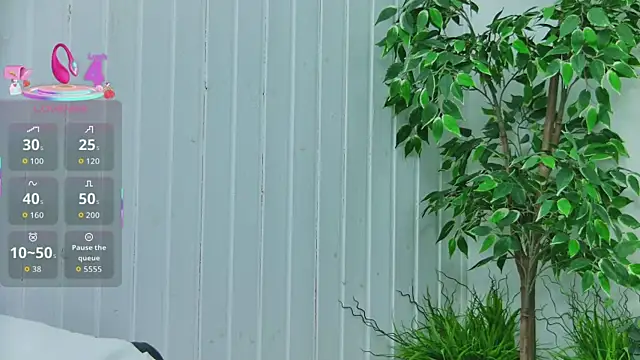 EmilyColle  online show from January 14, 2026, 7:52 pm