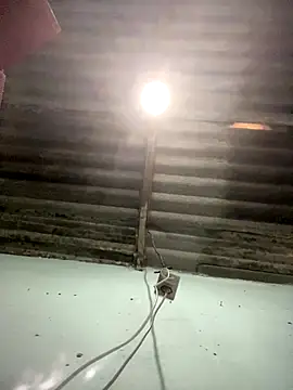 sasa123456  online show from November 29, 2025, 2:53 pm